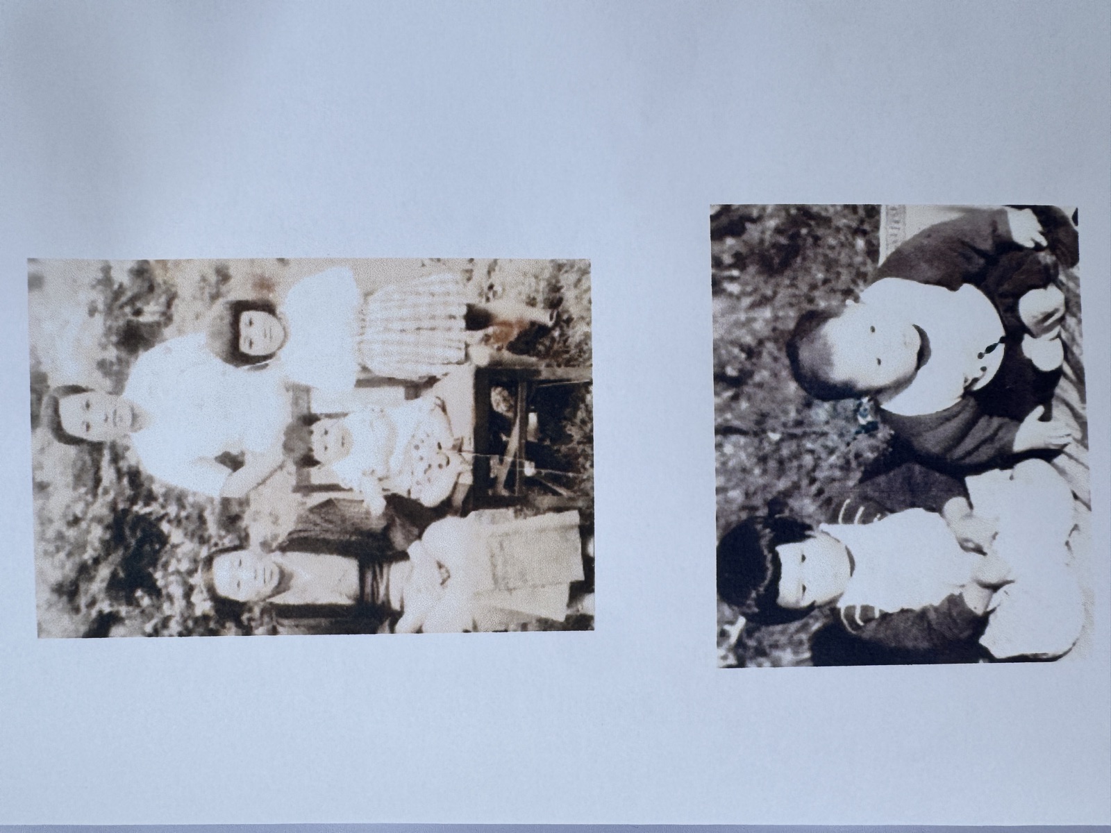 写真ページ